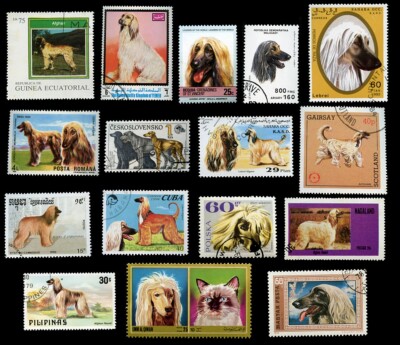 AFGHAN HOUND DOG INTERNATIONAL POSTAGE STAMPS x 16 All Different Countries