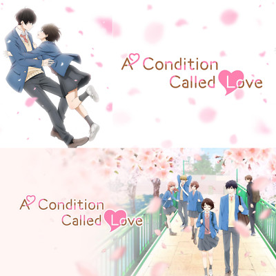 A Condition Called Love Anime Complete Series 1-12 English Dubbed All Region DVD