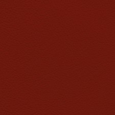GM Flame Red Leather Dye