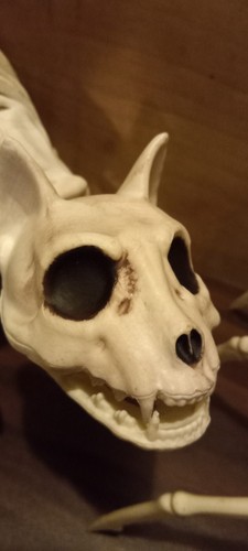 🎃11 SKELETON ANIMAL FIGURE LOT- HALLOWEEN- GOTH- HORROR- SKELETON🎃 - Picture 12 of 12