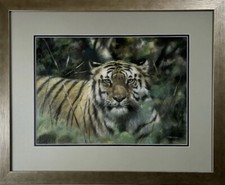 Joel Kirk ‘Bengal Tiger'.