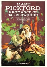 MARY PICKFORD Romance of the Redwoods - 1917 Movie Poster Image - 5 x 7 in Print