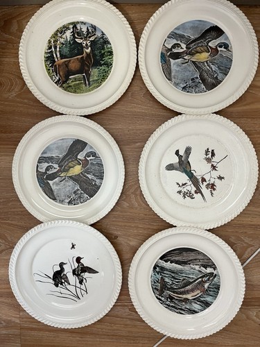 6 Hand Colored 10 1/4" Wild Life Plates made expressly for L L Bean Inc Free S&H