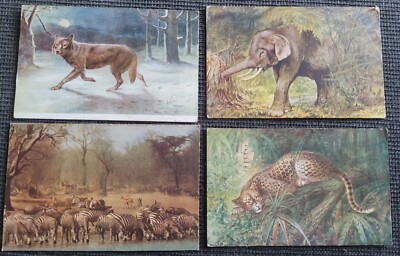 WILDE TIERE ZEBRA GEPARD WOLF ELEFANT ANSICHTSKARTE RESTPOSTEN X 4