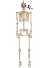 5FT Deluxe Light Up Eyes  Talking Skeleton Decoration