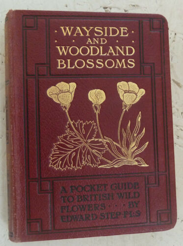 Vintage Book Wayside and Woodland Blossoms Edward Step Pocket Guide Illus - Picture 1 of 12
