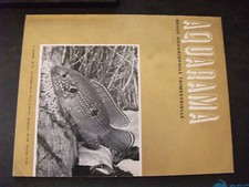 ** Aquarama n°24 Astronotus ocellatus / Chromileptes altivelis / Cryptocorynes