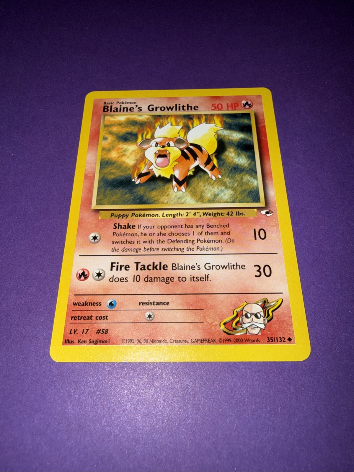 Blaine's Growlithe - 35/132 - Uncommon WOTC TCG—Gym Heroes Pokemon Card