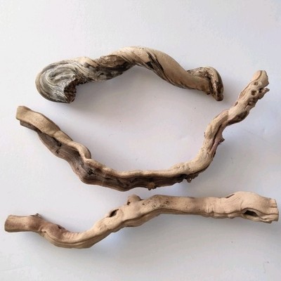 Driftwood Branches Lot Of Three Twisted  Branches Craft Wood Decorative Ikebana