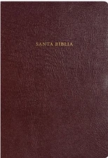 RVR 1960 BIBLIA DE ESTUDIO ARCO IRIS, BORGONA PIEL By B&h Espanol NEW