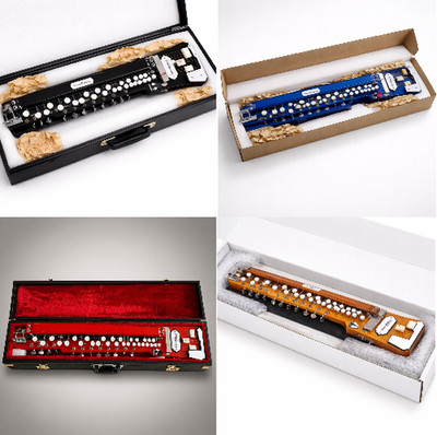 Bulbul Tarang Professional Banjo Indisches Streichinstrument...