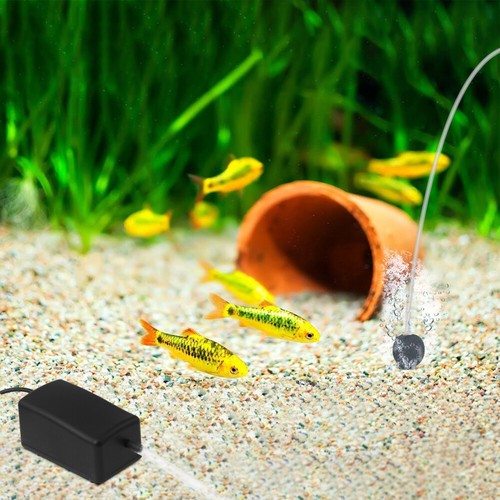 Solar-Luftpumpe, Außenpool, Teich, Luftpumpe, Sauerstoffpumpe, Brunnenpumpe, - Bild 10 von 11