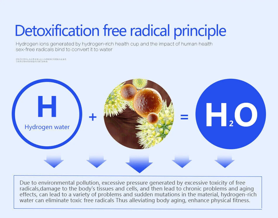 HYDROGEN RICH or OXYGEN RICH water machine, 2 in 1 water JUG, WITH WATER FILTER! - Image 4 of 4