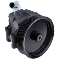 NTY Hydraulikpumpe Lenkung FüR Ford Transit Kasten Fa_ _ 2.4 TDE Fm_ Fn_