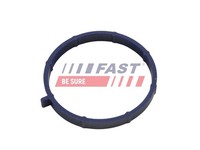 Dichtung AnsaugkrüMmergehäUse Fast FT49467 FüR Ford Transit Bus Tourneo Tdci 4X4