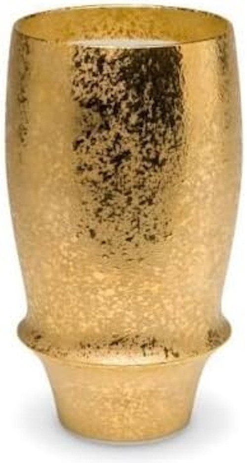 Arita Ware Zipang Premium vaso de cerveza elegante taza de porcelana japonesa...
