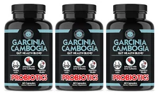 Gut Health & Wellness Blend w/ Garcinia Cambogia with Probiotics 3-Pack