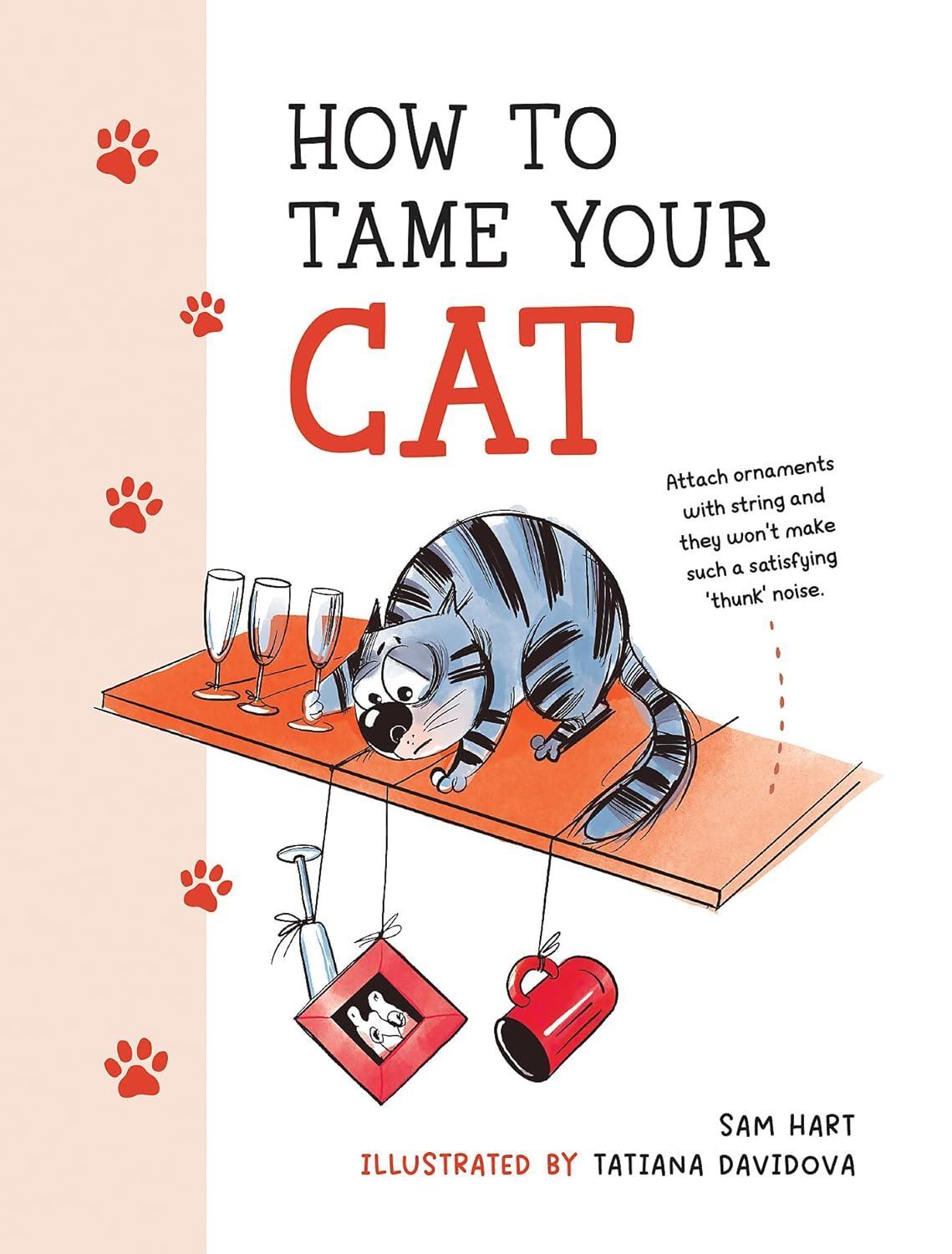 How to Tame Your Cat