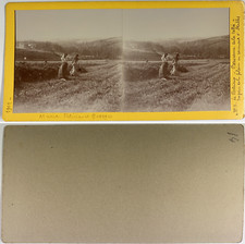 France, Le Portrieux (Saint-Quay-Portrieux), Valley Panorama Vintage Stere