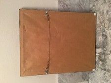 Organic Cotton 18” Square Pillow DAN GOLDEN Cartoon Same Old Sh*t Crazy New Sh*t