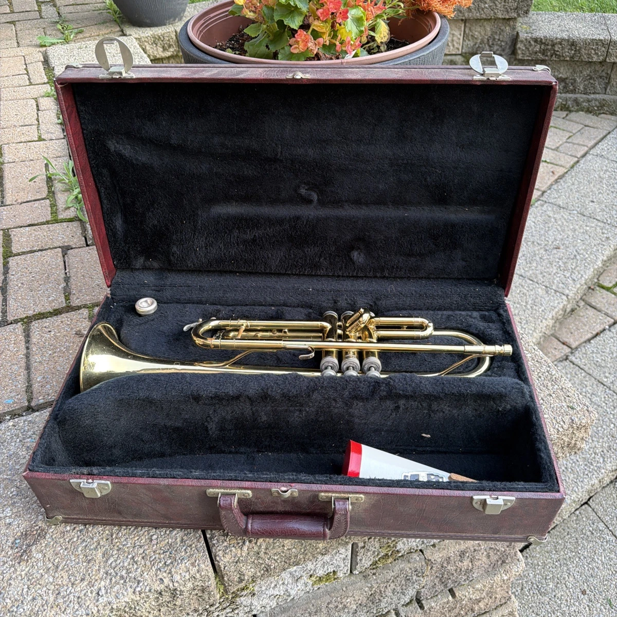 holton collegiate cornet products for sale | eBay
