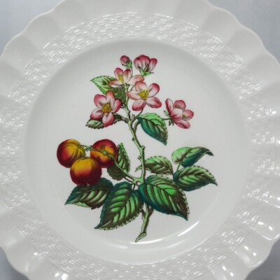 Spode Canterbury 希少フルーツ皿6枚 GLENDALE CRAB APPLE by Spode Dinner Plate Chelsea Wicker NEW NEVER