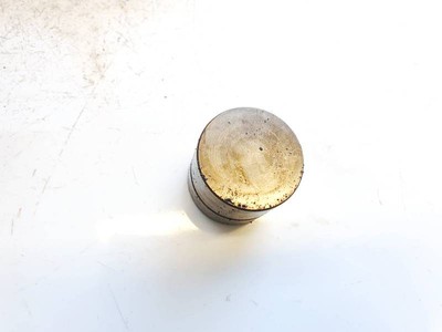 Opel Meriva 2004 Cinetic valve lash adjuster (Engine Valve Lifter) #2302737-47