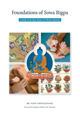 Foundations of Sowa Rigpa: A Guide to the Root Tantra of Tibetan Medicine (Paper