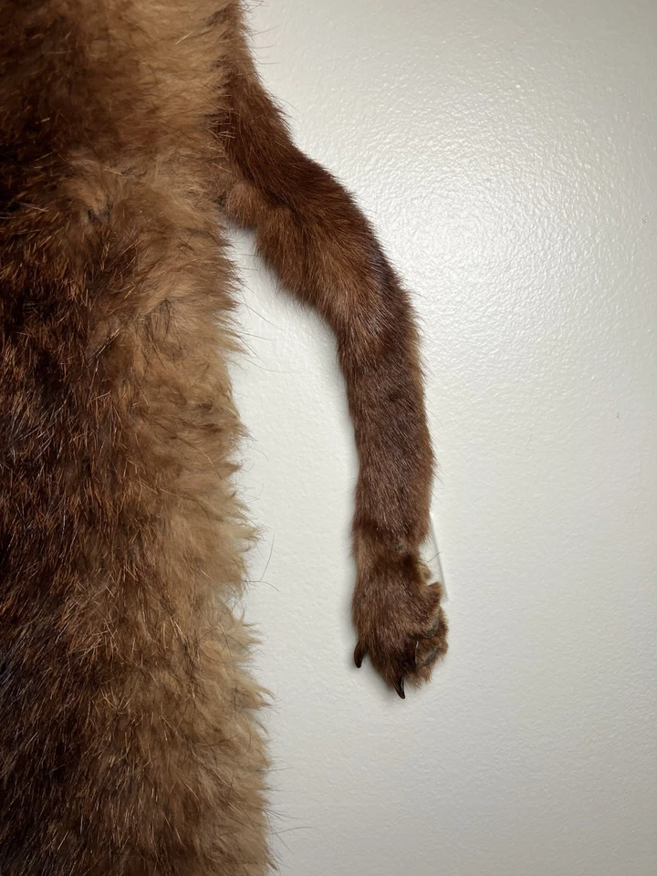 "Bufanda envolvente vintage de piel de visón real con estola cabeza cuerpo piernas pies cola marrón 51"" de largo" Foto 4 de 4