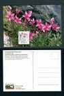 1983 Germany 80pf Fleischer Willow Herb Maximum FDC Endangered Alpine Flowers
