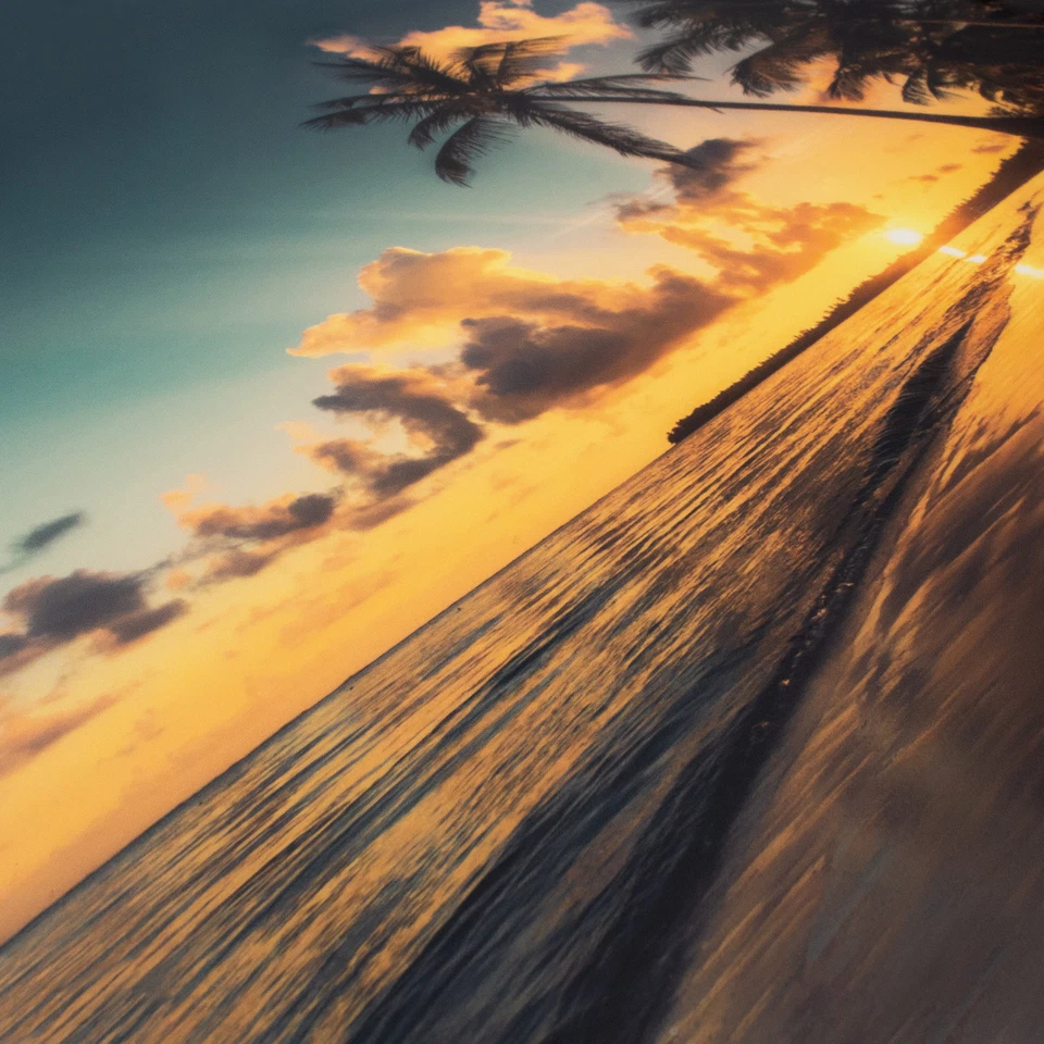 Laptop Folie Aufkleber Sticker 13"-17"Zoll Skin LP89 Palmenstrand - Bild 3 von 4