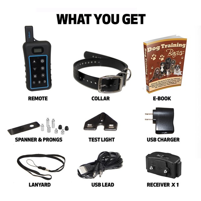 pet resolve dog training collar with remote