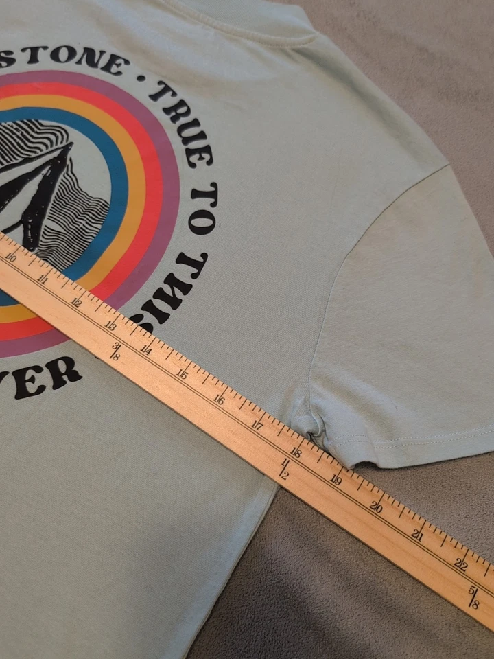 Med:Volcom Women’s Dial Crop Tee Seafoam Green Rainbow Logo Short Sleeve Top NWT - Image 4 of 4