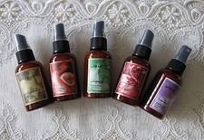 WEN by Chaz Dean REPLENISHING TREATMENT MIST U-Choose Scent 2 oz Travel Size