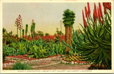 Postcard Henry E Huntington Library & Arts Gallery San Marino California