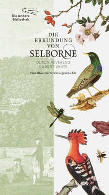 Die Erkundung von Selborne durch Reverend Gilbert White | Gilbert White | Buch