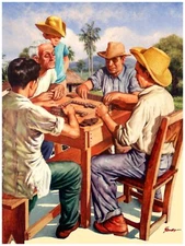 Wall Decor Poster.Fine Graphic Art Design.Country Domino Game.Room art.148