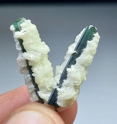 Fresh from Mine Mesmerizing V shape Indicolite Tourmaline Crystals:15CRT