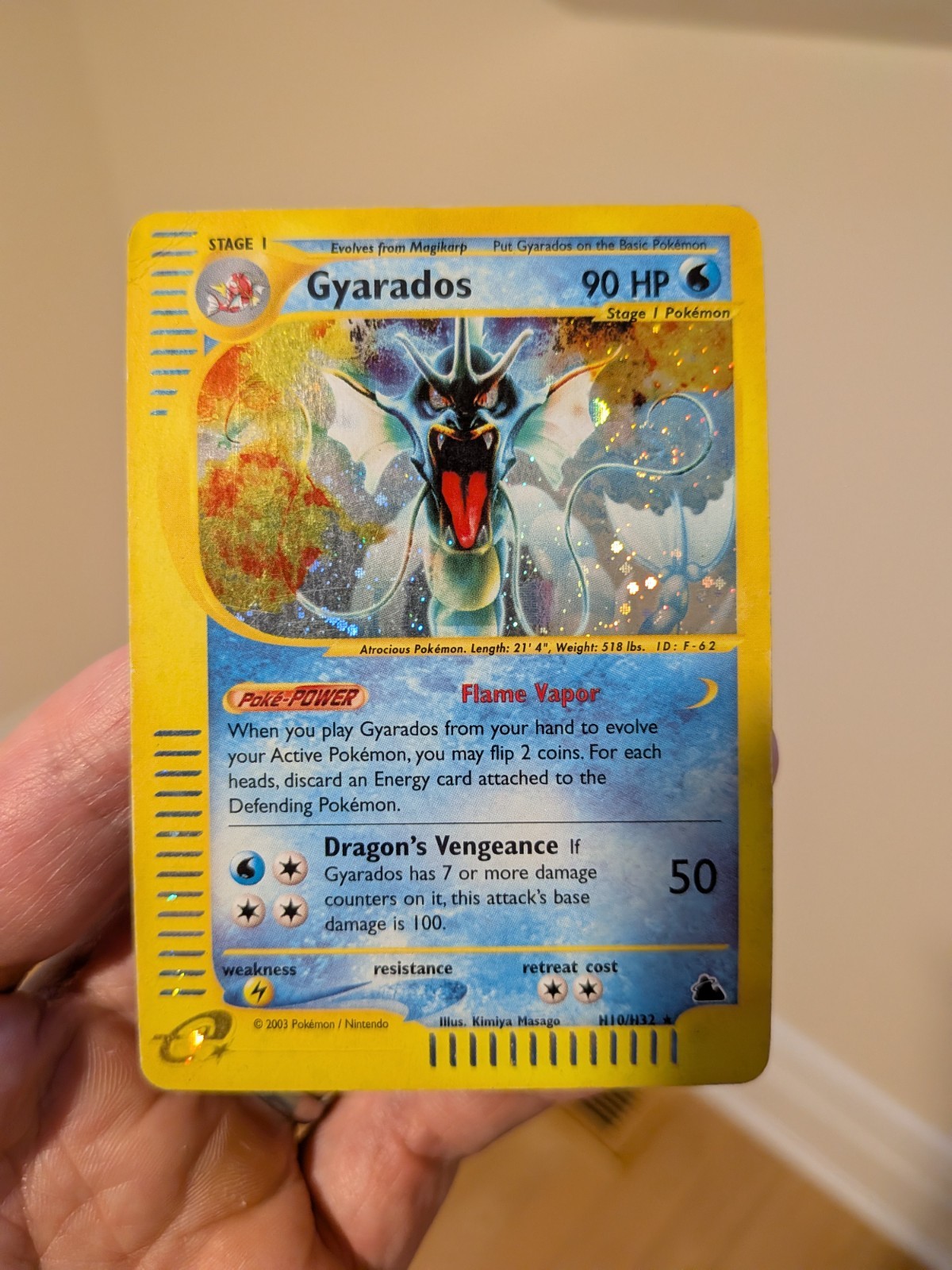 Gyarados - H10/H32 - Pokemon Skyridge Holo Rare Card MP - Swirl