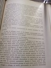 Foto 11 di 11