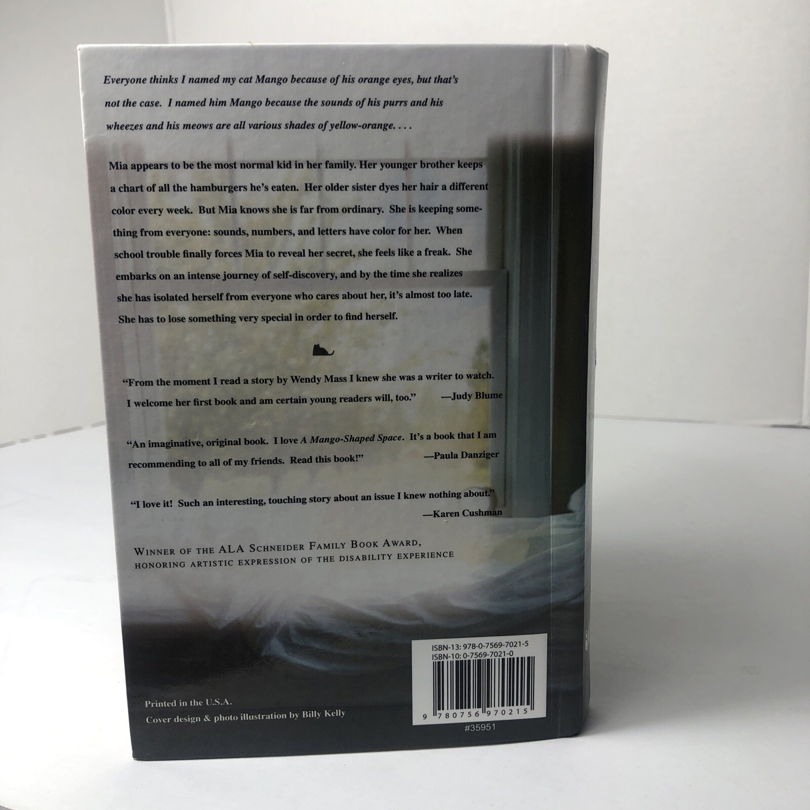 A Mango Shaped Space By Wendy Mass 06 Hardcover For Sale Online Ebay