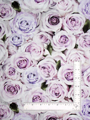 Purple Rose Fabric By The Yard Roses Flowers Cotton Timeless Treasures ...
