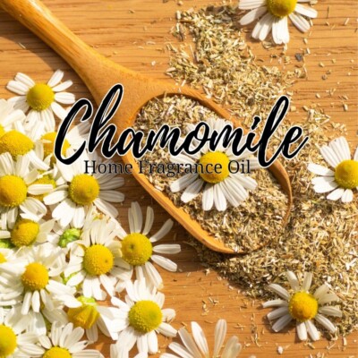 Chamomile Home Fragrance Aromatherapy Diffuser Warmer Burning Oil