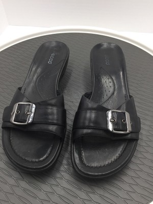 ecco slides