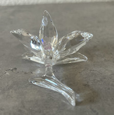 Swarovski Orchids products for sale | eBay