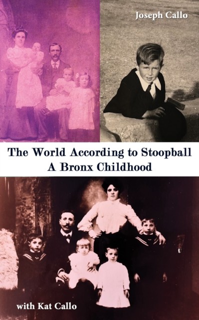 The World According to Stoopball by Joseph Callo (Paperback Book)