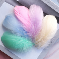 100X Schwimmende Gänsefedern Bunte Feder Hochzeit Kleidung Dekoration