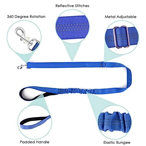 Dog Harness and Leash Set, Soft Padded Small XXS ( Chest 11.5'' ~ 15'') Blue