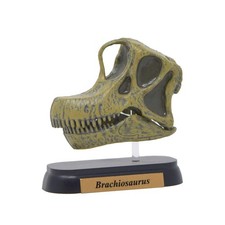 Favorite Dinosaur Brachiosaurus Skull Mini Model
