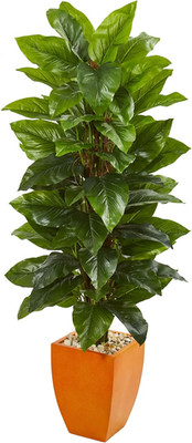 5.5-Ft. Real Touch Large Leaf Philodendron in Orange Planter - Silk Plant